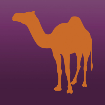 Camel Iron on Decal