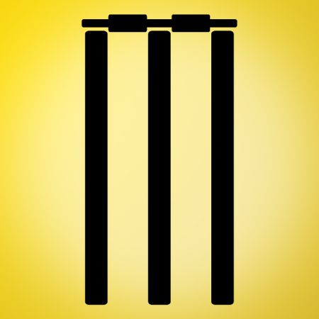 Cricket Stumps Iron on Decal
