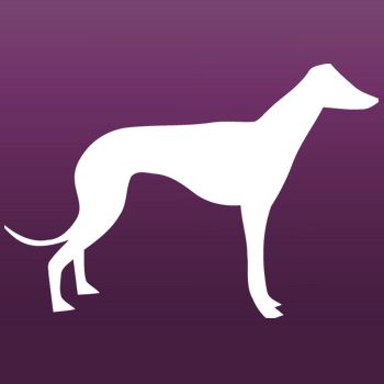 Greyhound Dog Iron on Decal