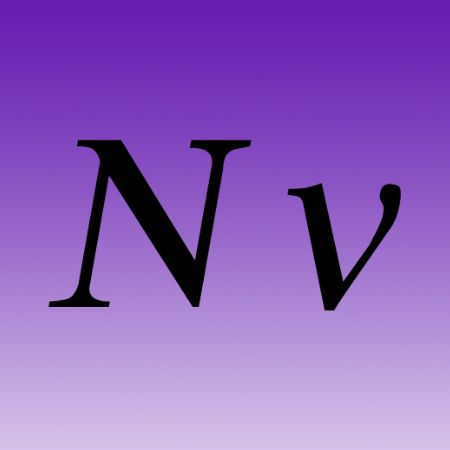 Greek Letter Iron on Decal Nu