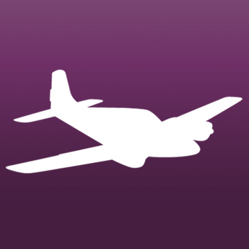 Airplane Iron on Decal